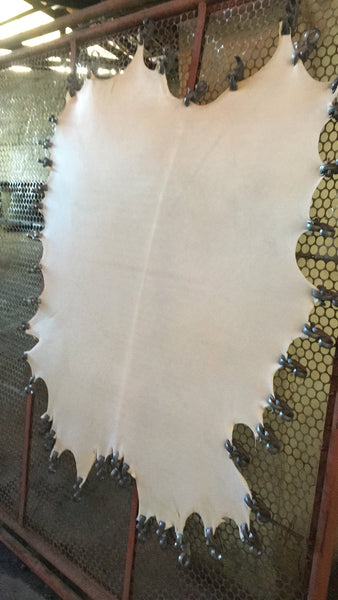 Real Goatskin Parchment  Full Goat Skin